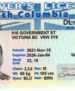 British Columbia Driving License