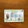 Colorado Driving License