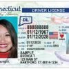 Connecticut Driving License