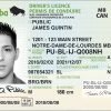 Manitoba driving license