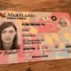 Maryland Driving License