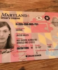 Maryland Driving License