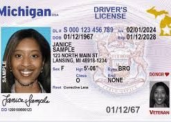 Michigan Driving License