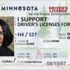 Minnesota Driving License
