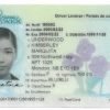 Brunswick Driving License