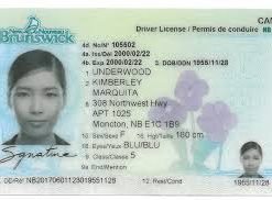 Brunswick Driving License