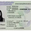 Newfoundland and Labrador Driving License