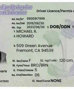 Newfoundland and Labrador Driving License