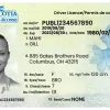 Nova Scotia Driving License