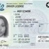 Ohio Driving License