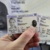 Virginia Driving License