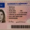 Finland Driving License