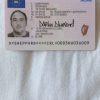 Irish Driving License