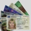 valid ID cards