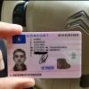 Swedish Driving License